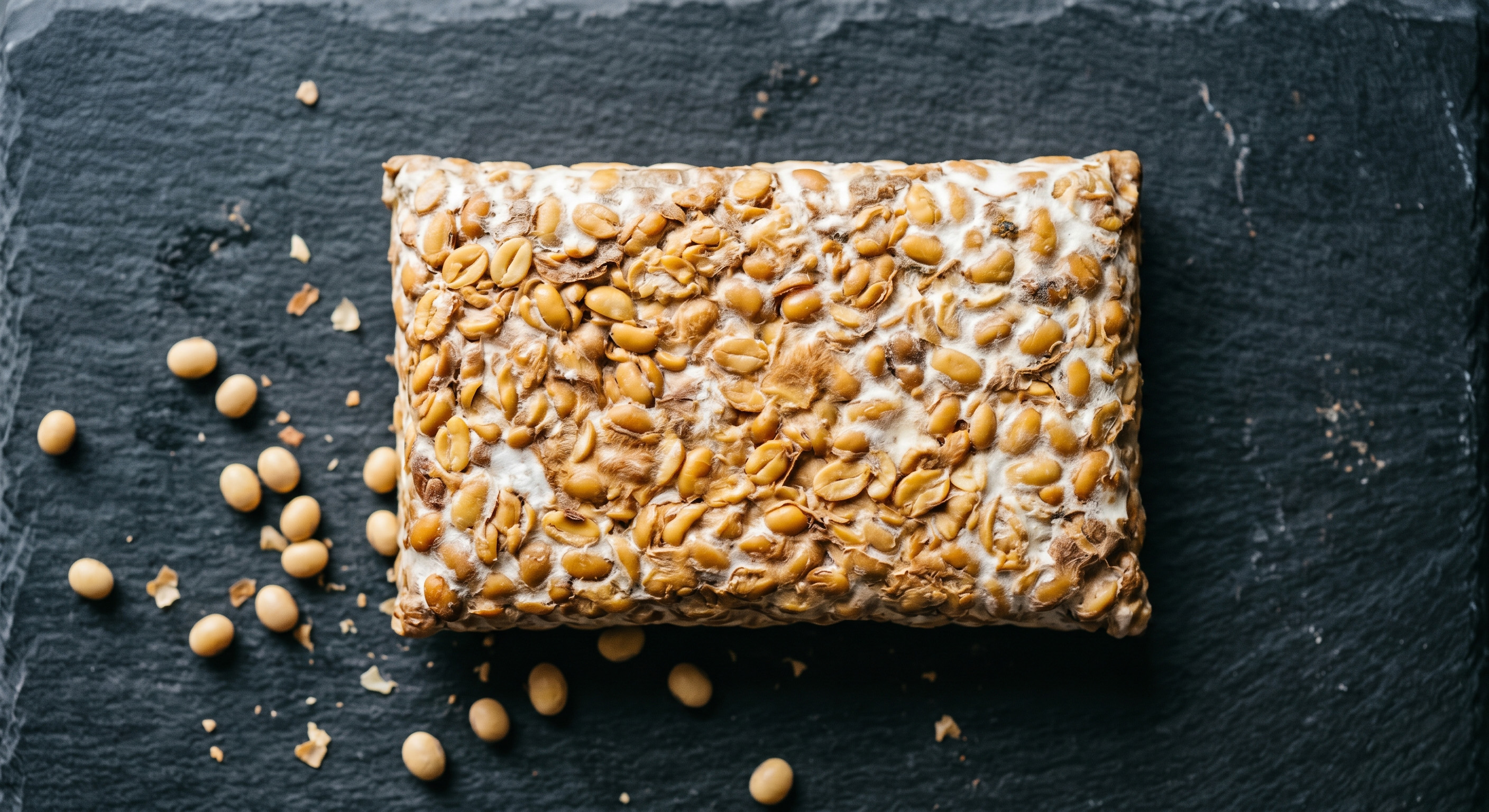 Raw tempeh slab — the ingredient behind every Rakuzel chip